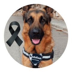 Marco-cabo-Equipo-eros-luto